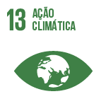 icon ação climática